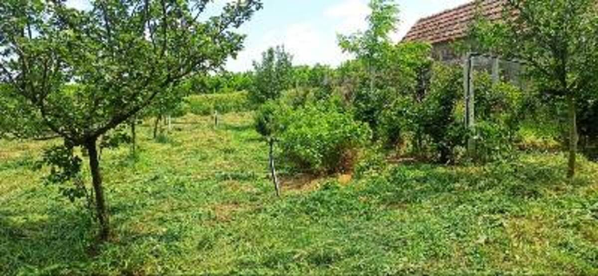 m2Gsigma nekretnine, Zrenjanin okolina, Lukino Selo, jednoiposobna kuća na prodaju, 2714
