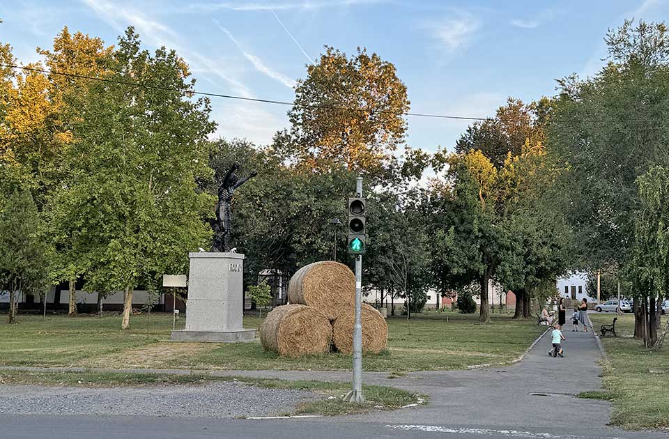 Zrenjanin nekretnine, Čudesno drvo krije ljubavnu tajnu
